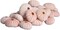 Sea Urchin Pink Sea Urchin Shells 1-2in (25 pk) Pink Sea Urchins for Craft and Decor